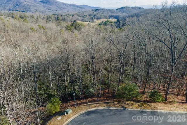 80 Buckhead Trail, Horse Shoe, NC, 28742