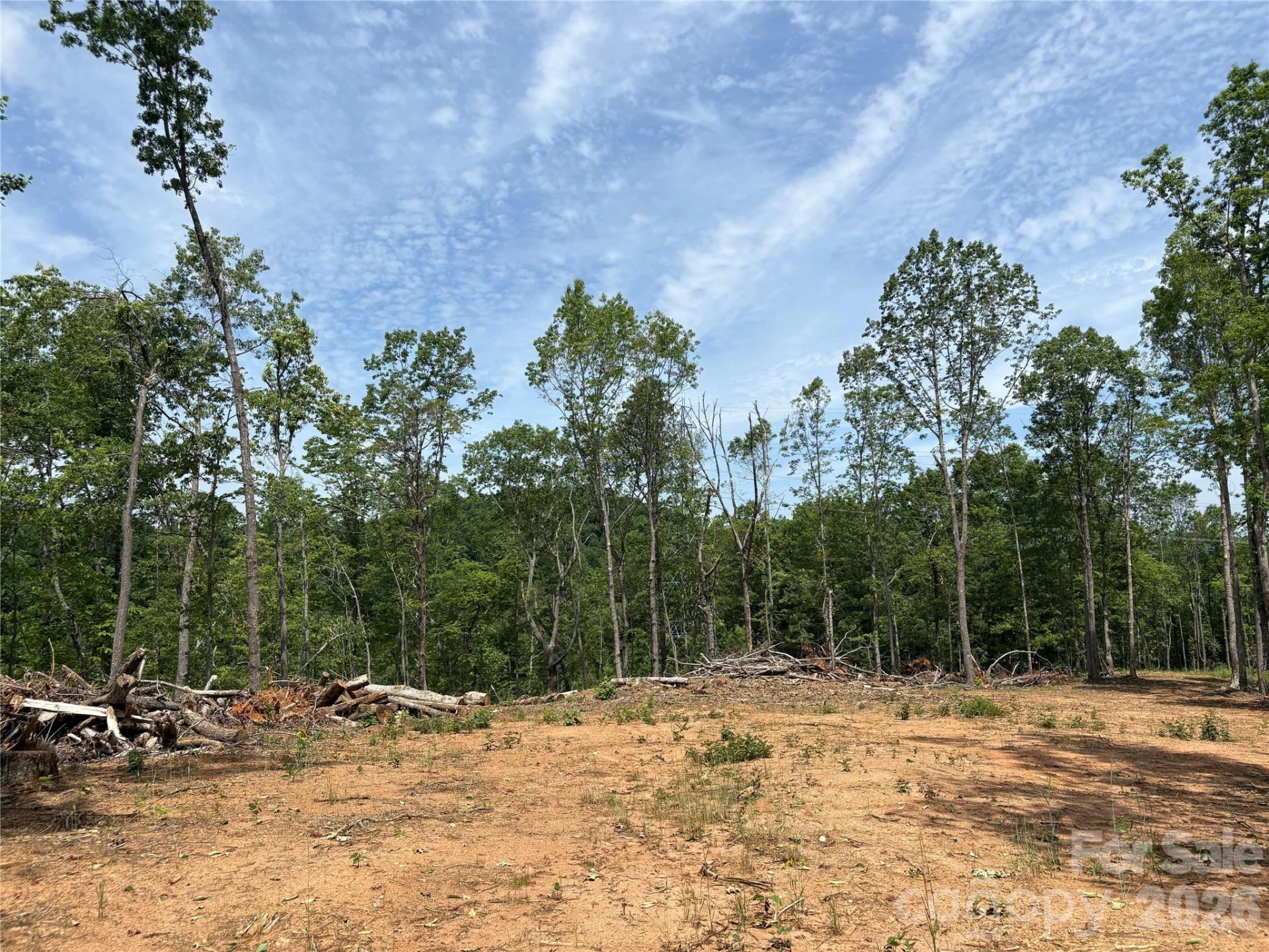 TBD Early Road - Photo 3