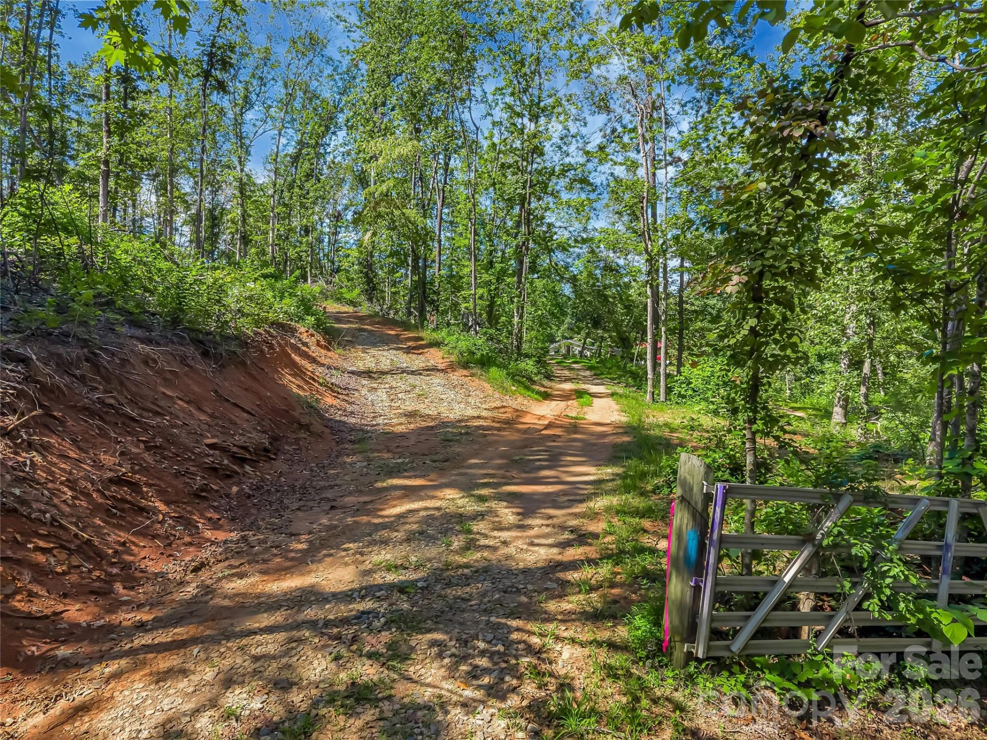 TBD Early Road - Photo 11