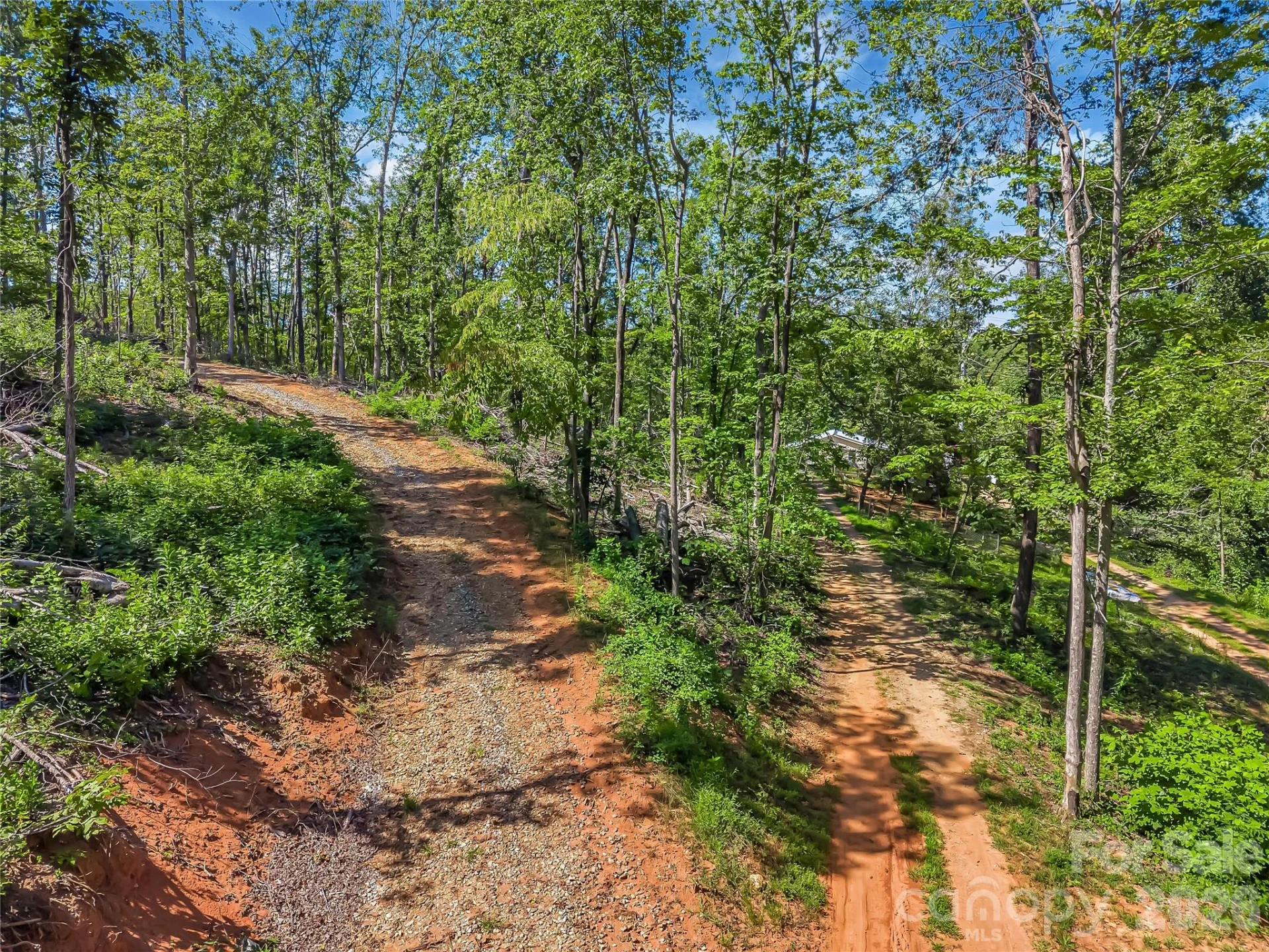 TBD Early Road - Photo 13