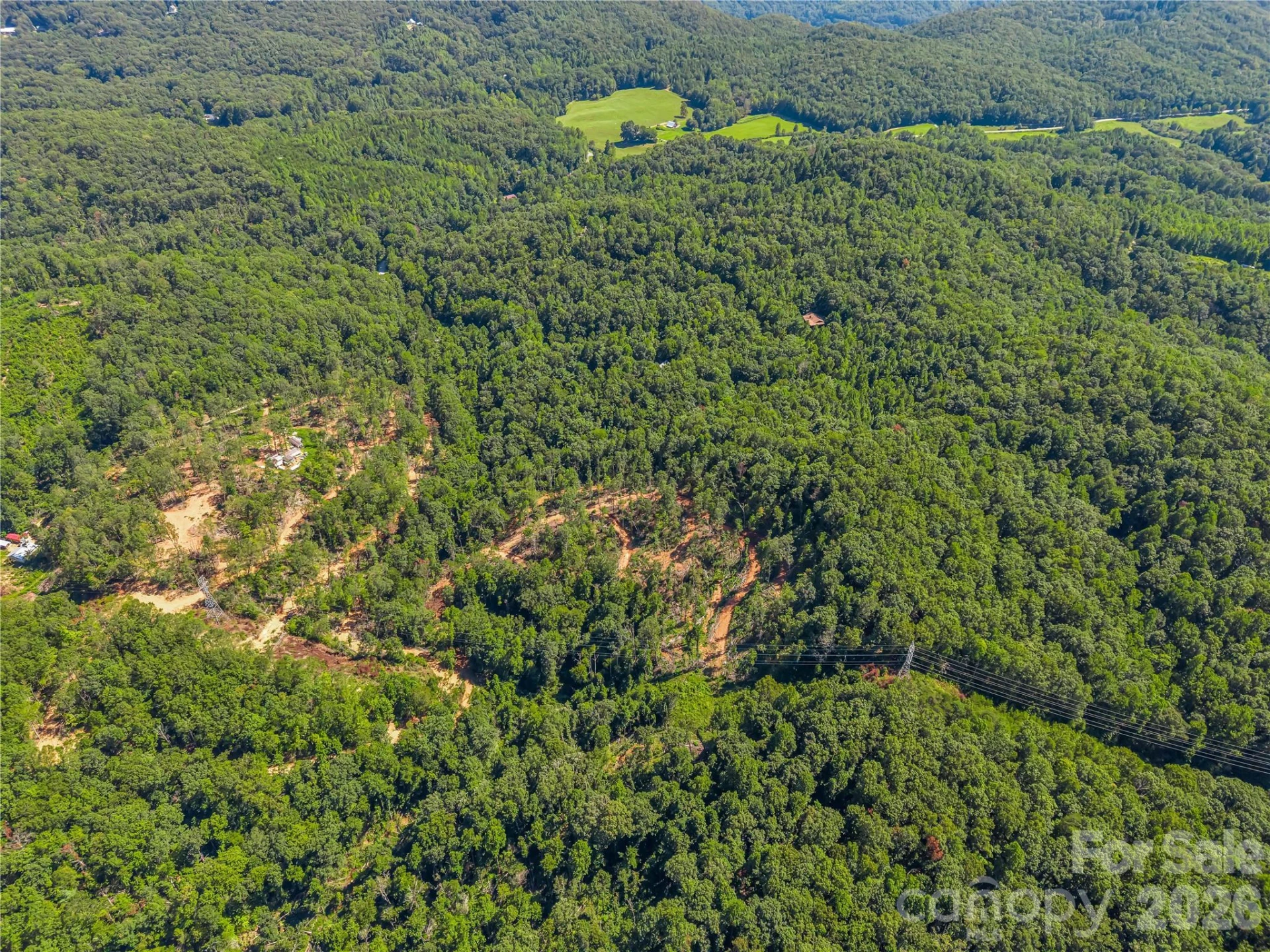 TBD Early Road - Photo 28