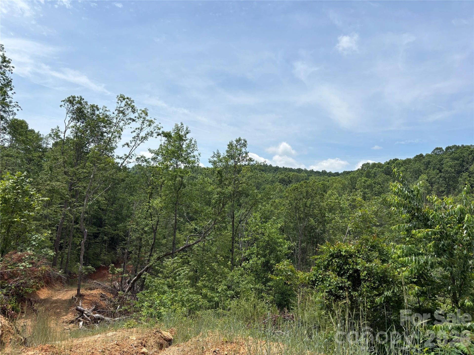 TBD Early Road - Photo 8