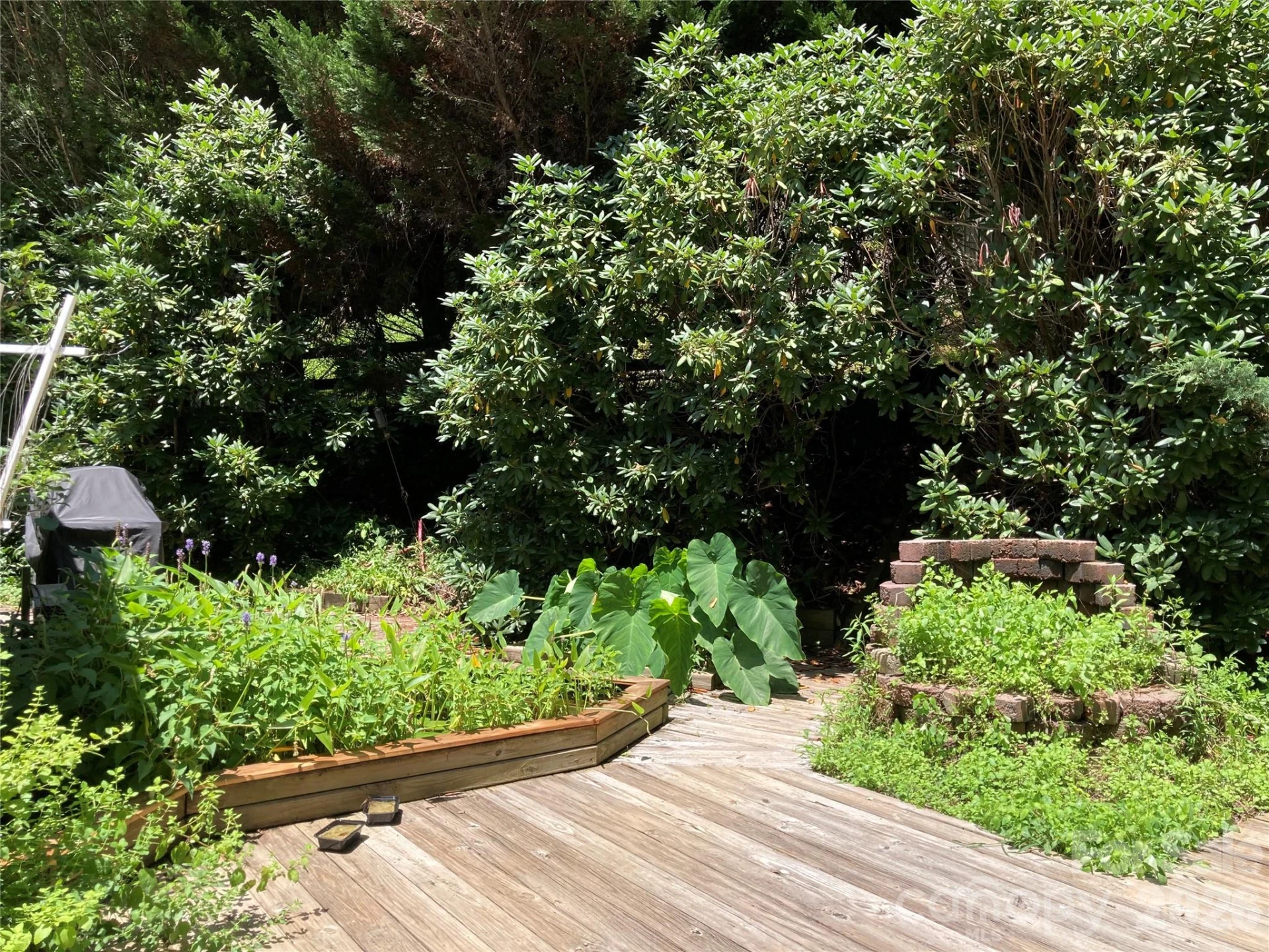 98 Secluded Cove - Photo 23