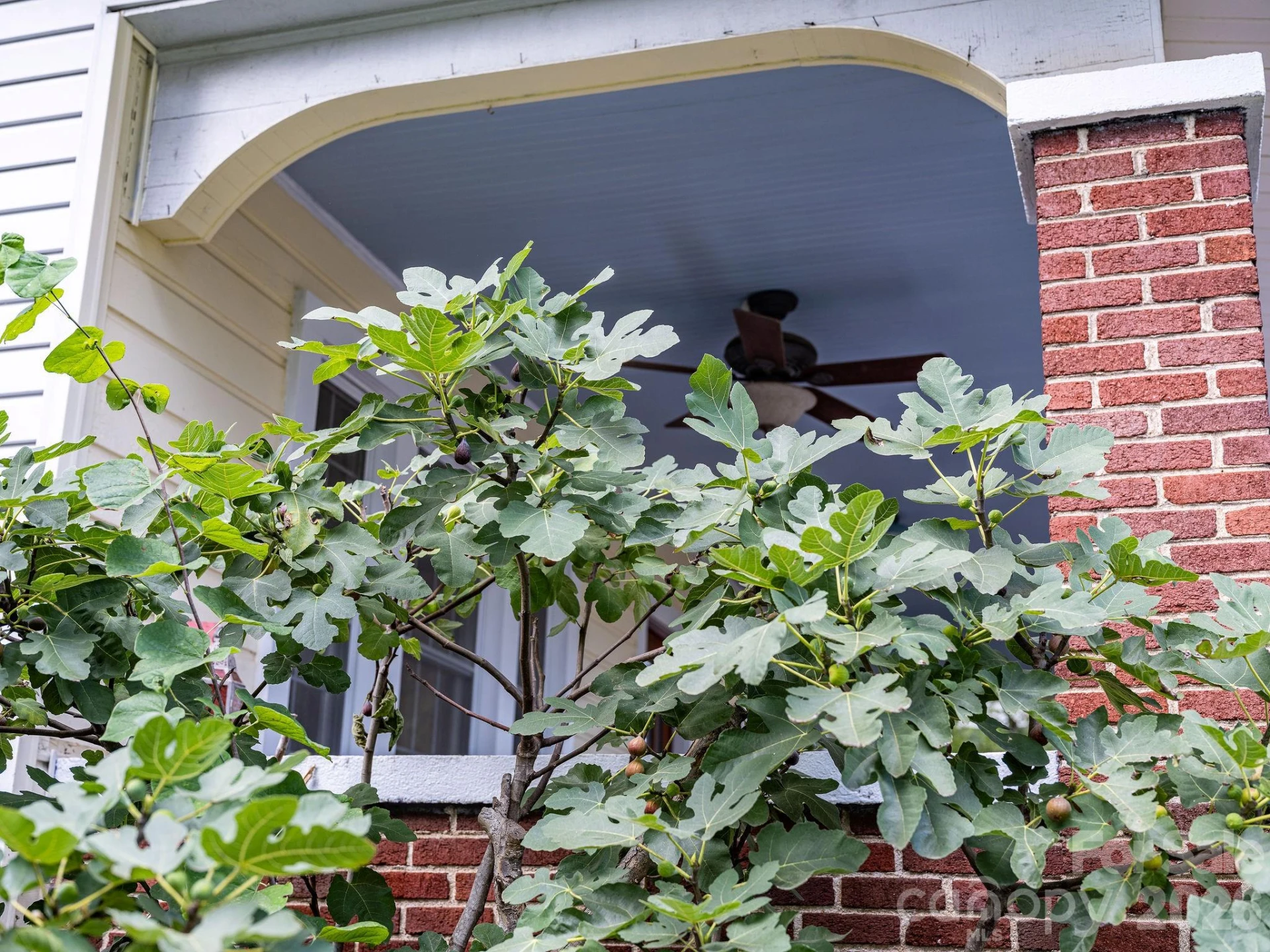 33 Fairfax Avenue - Photo 40
