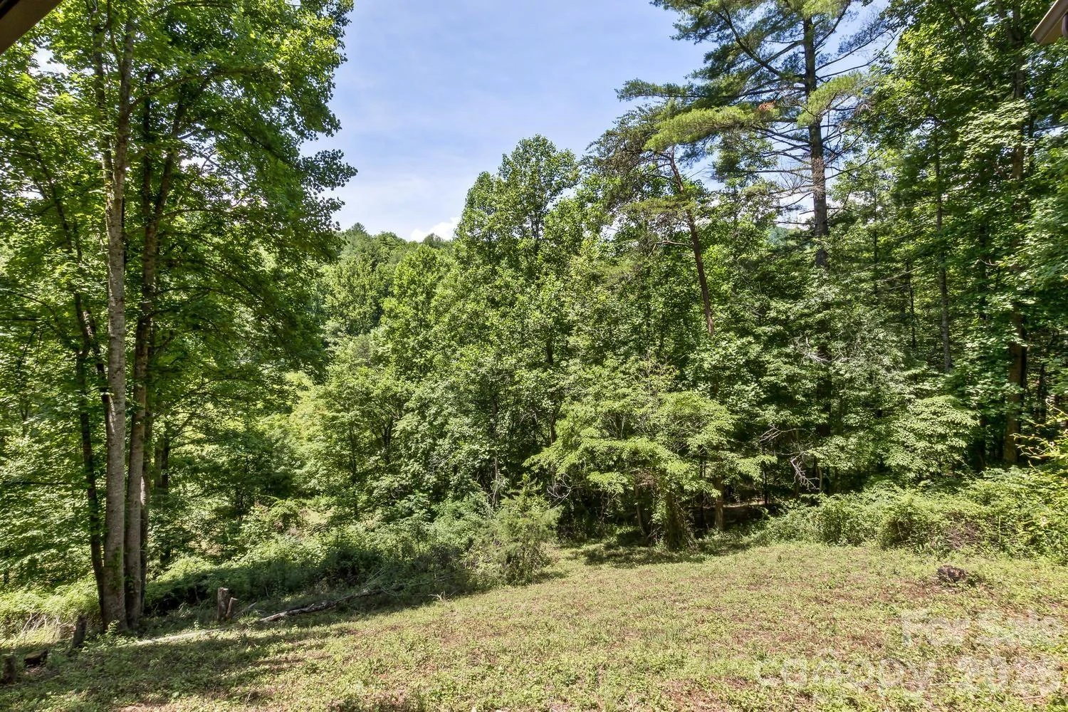 104 Pokeberry Lane #3A - Photo 34