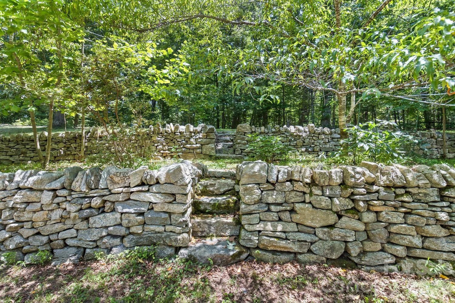 104 Pokeberry Lane #3A - Photo 6
