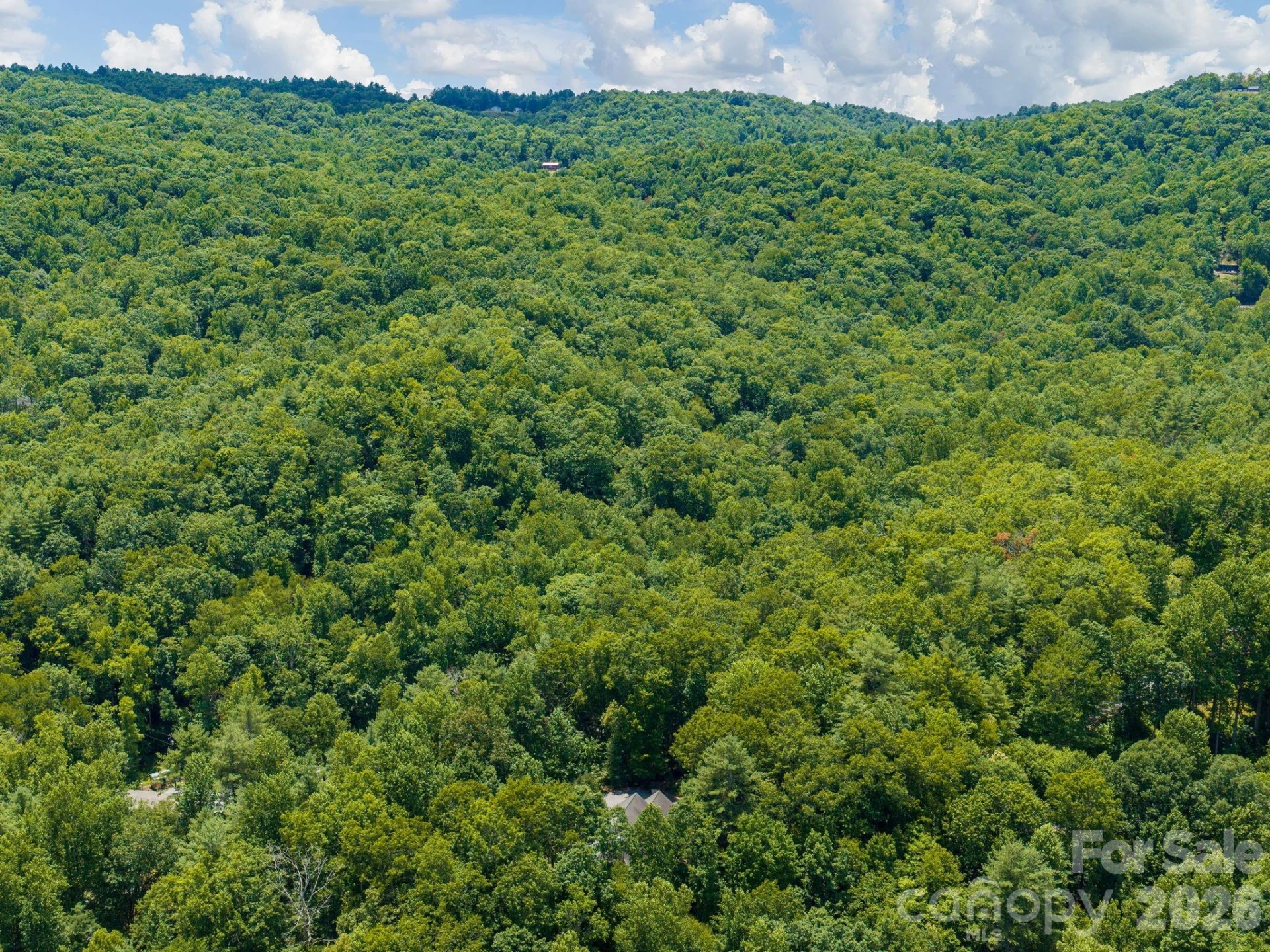 49 Indian Ridge Trail - Photo 38