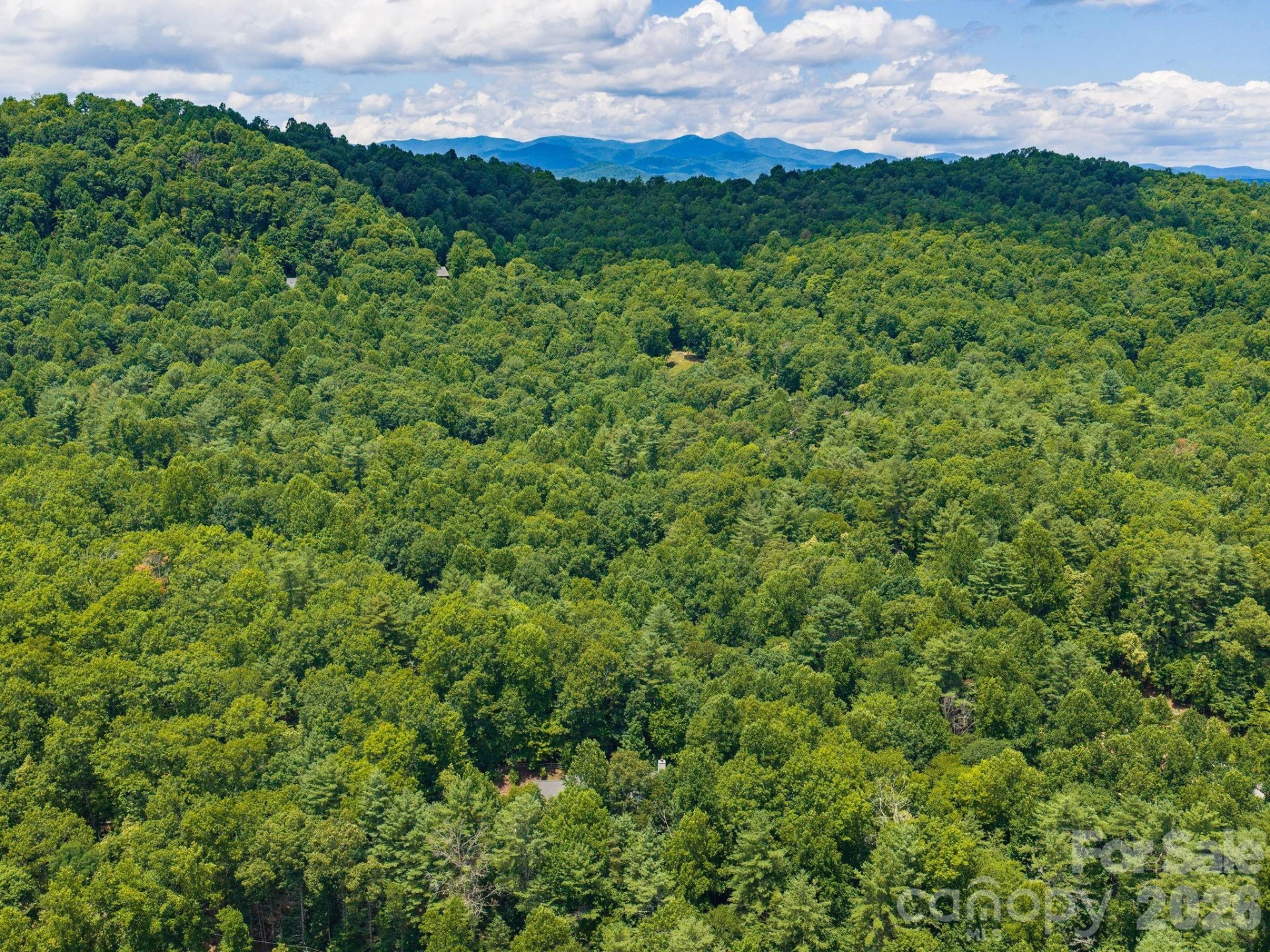 49 Indian Ridge Trail - Photo 39