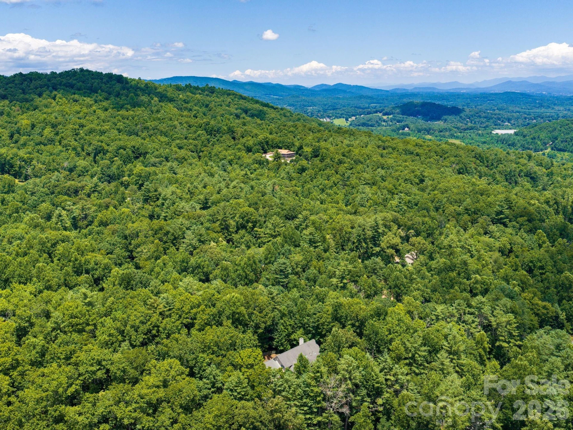 49 Indian Ridge Trail - Photo 40