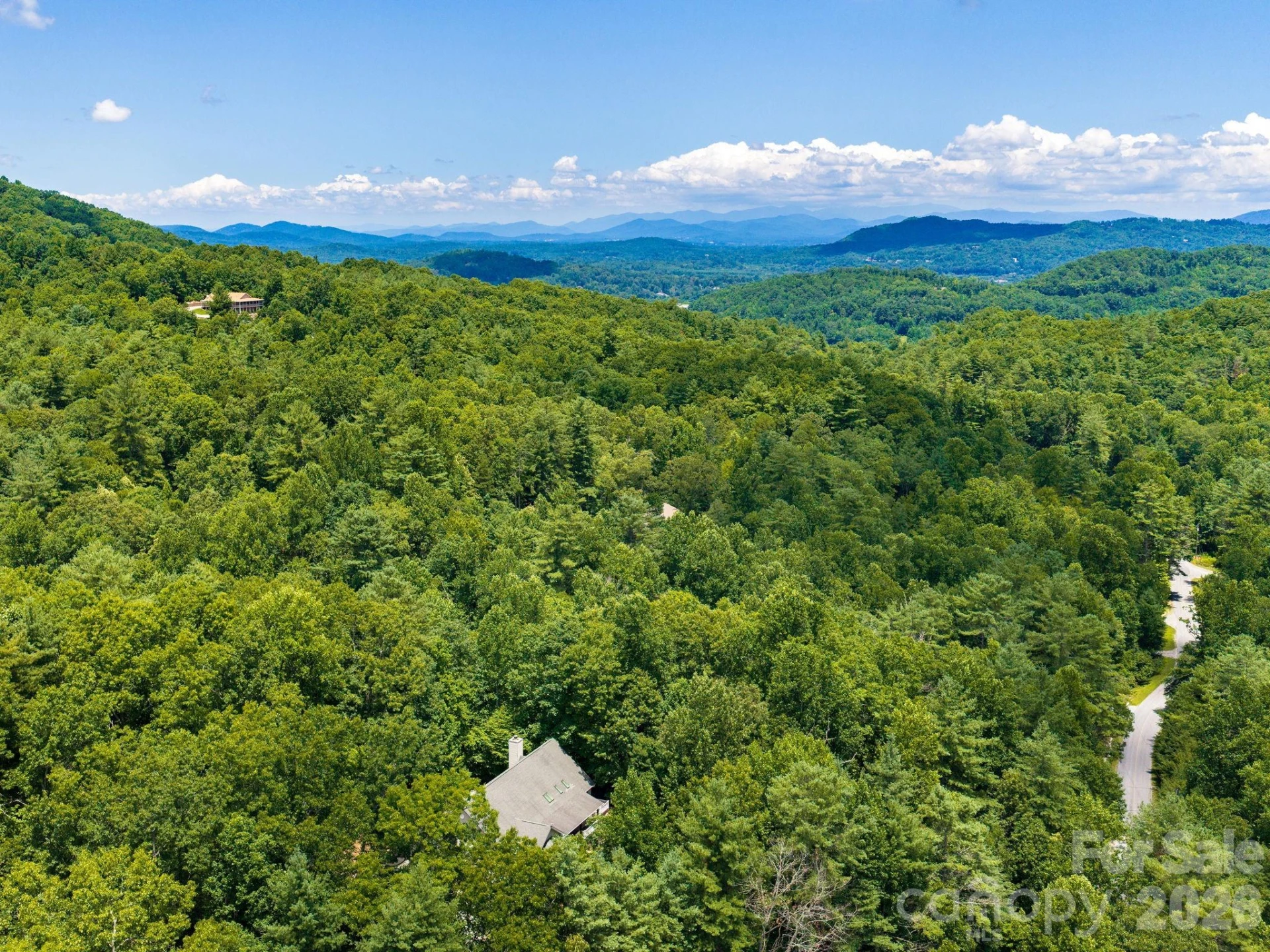49 Indian Ridge Trail - Photo 41