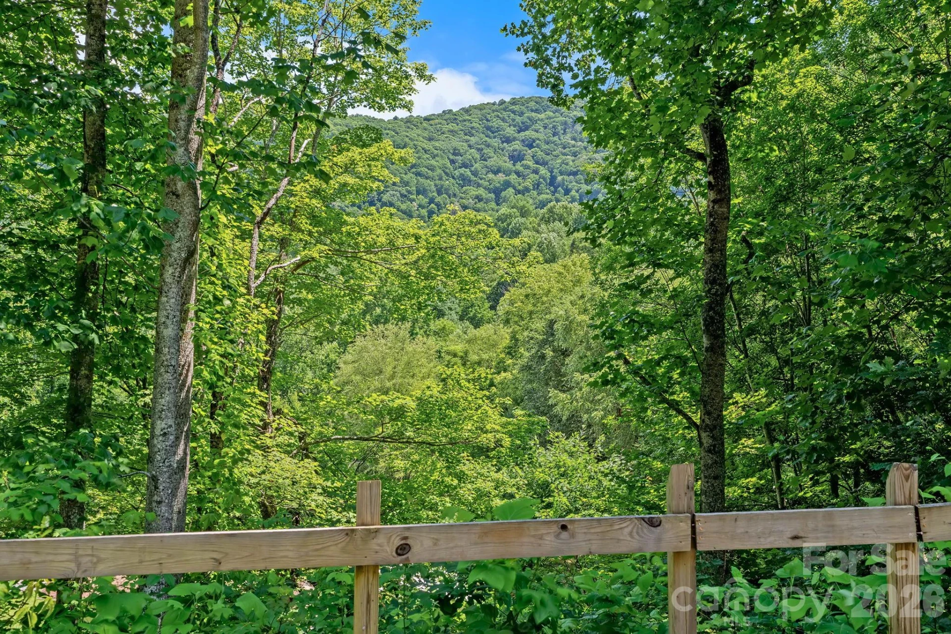 62 Robin Lane - Photo 2