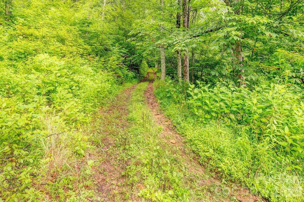 8485 Meadow Fork Road - Photo 23