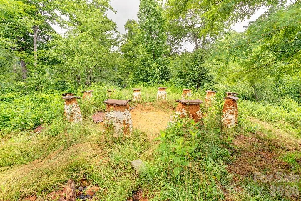 8485 Meadow Fork Road - Photo 24