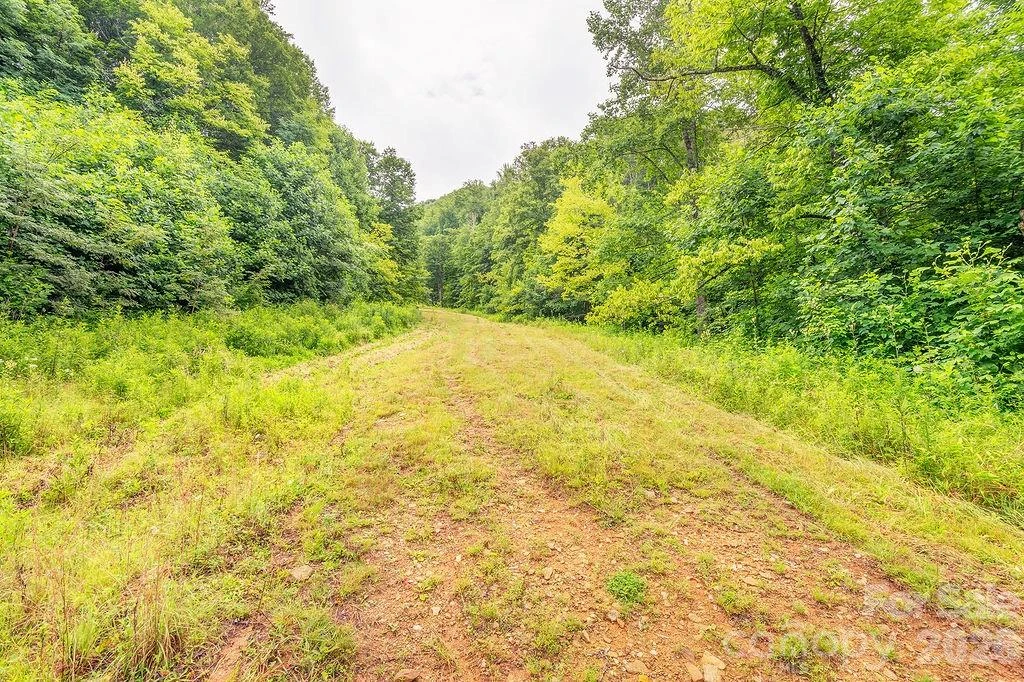 8485 Meadow Fork Road - Photo 34