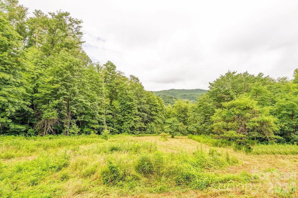 8485 Meadow Fork Road - Photo 35