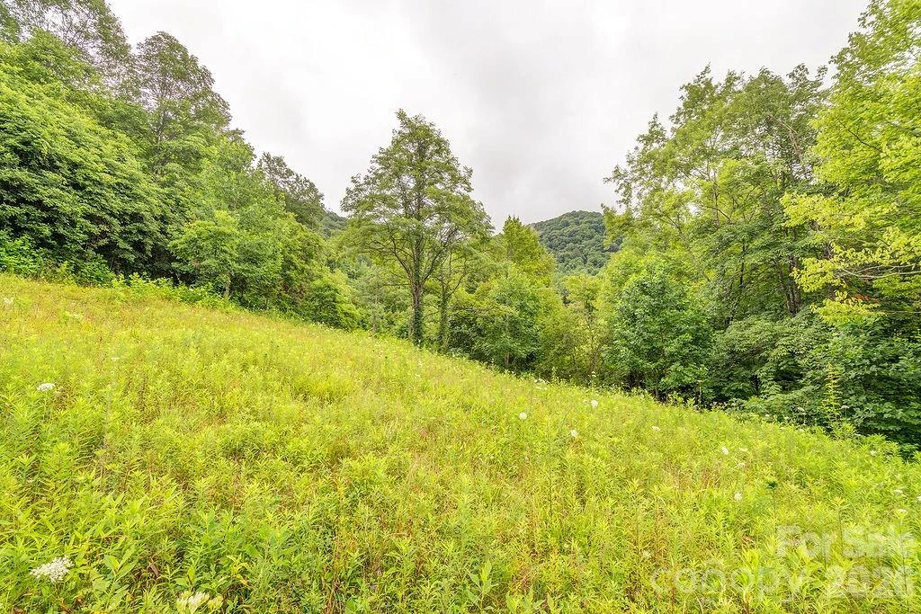 8485 Meadow Fork Road - Photo 36