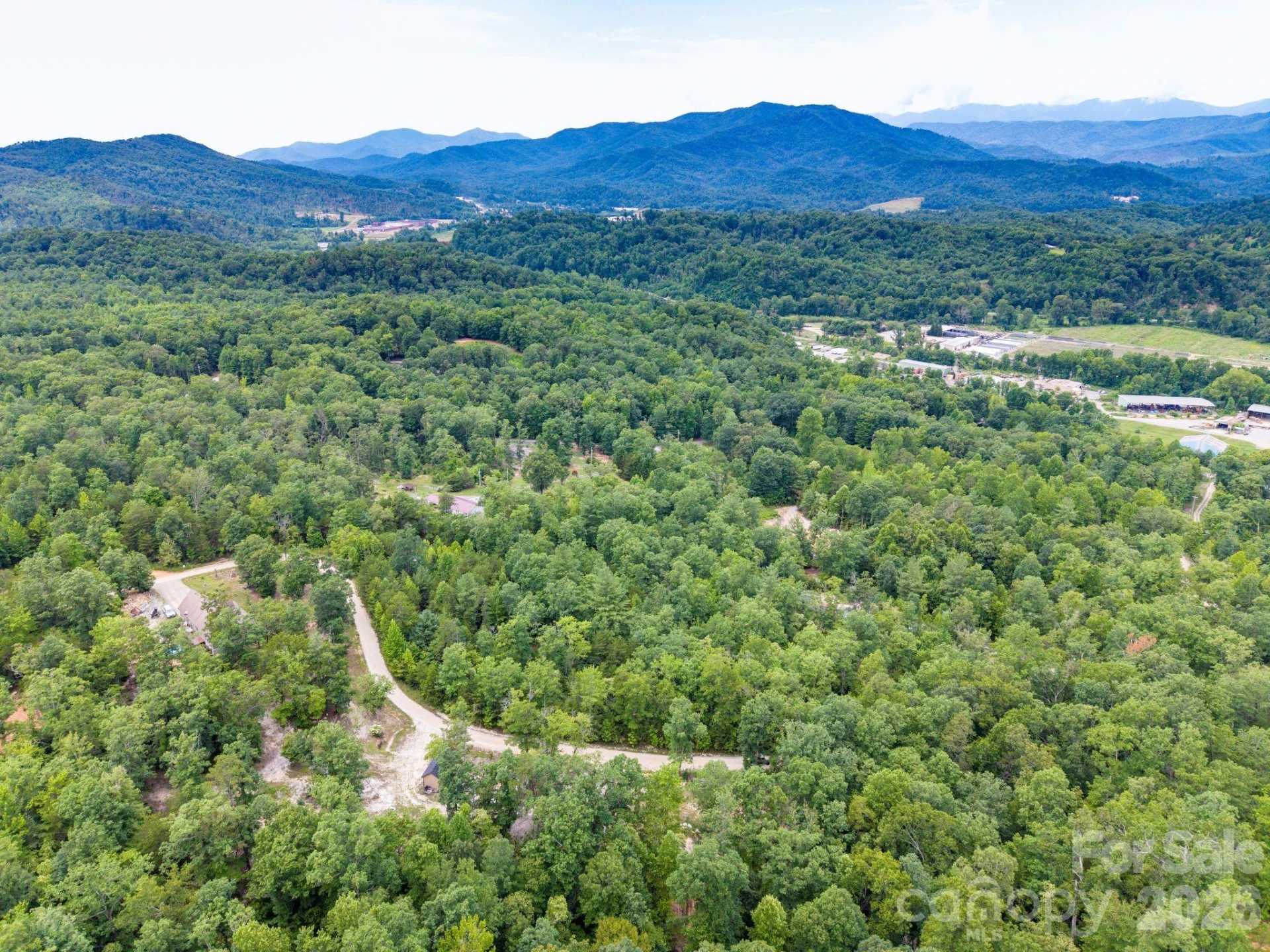 6 Dobsons Knob Loop - Photo 2