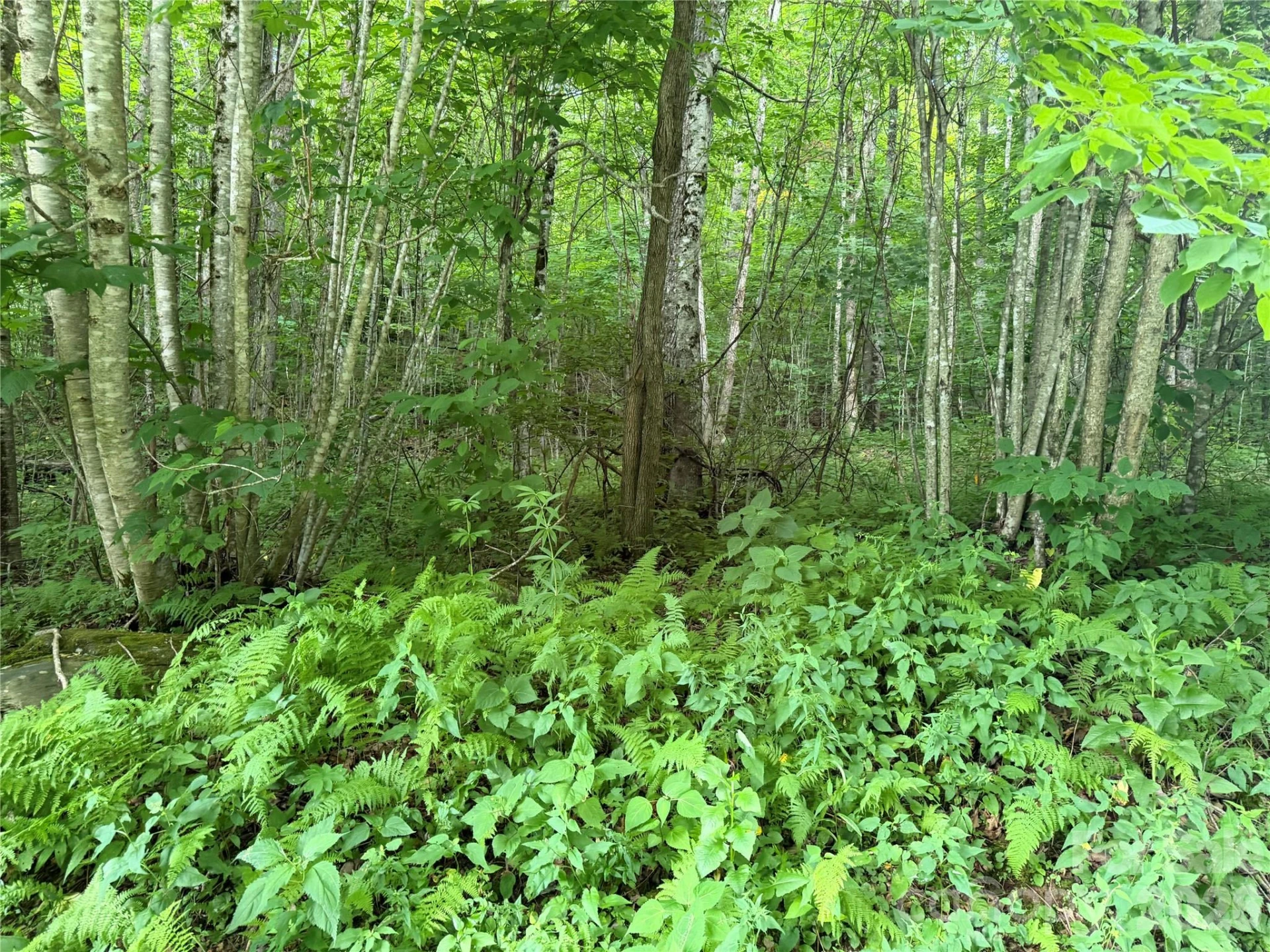 64A Jonathan Trail - Photo 3