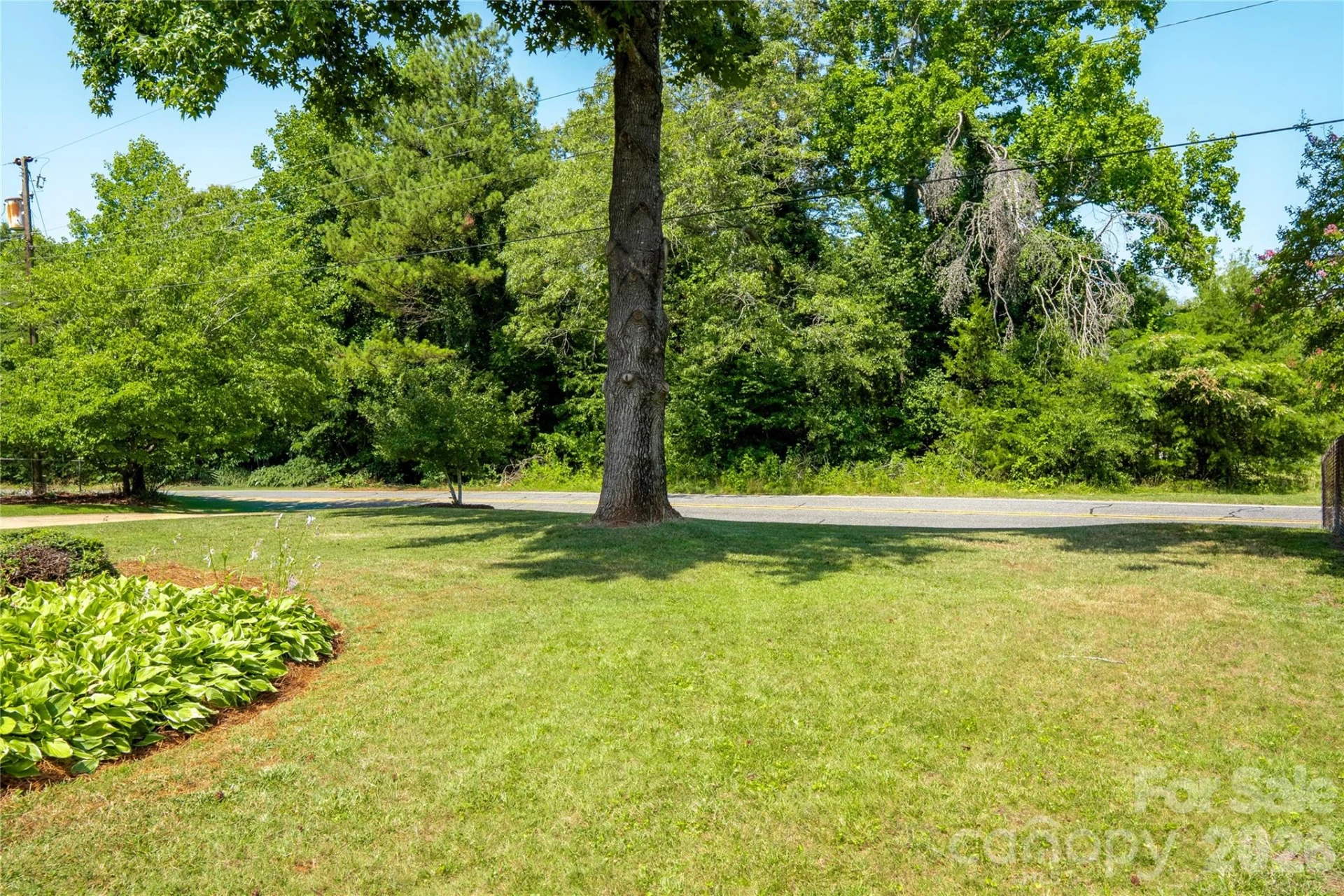 533 Beams Mill Road - Photo 34