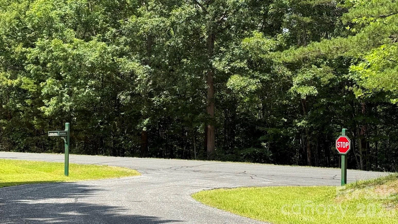 00 Fallen Tree Lane #19 - Photo 2