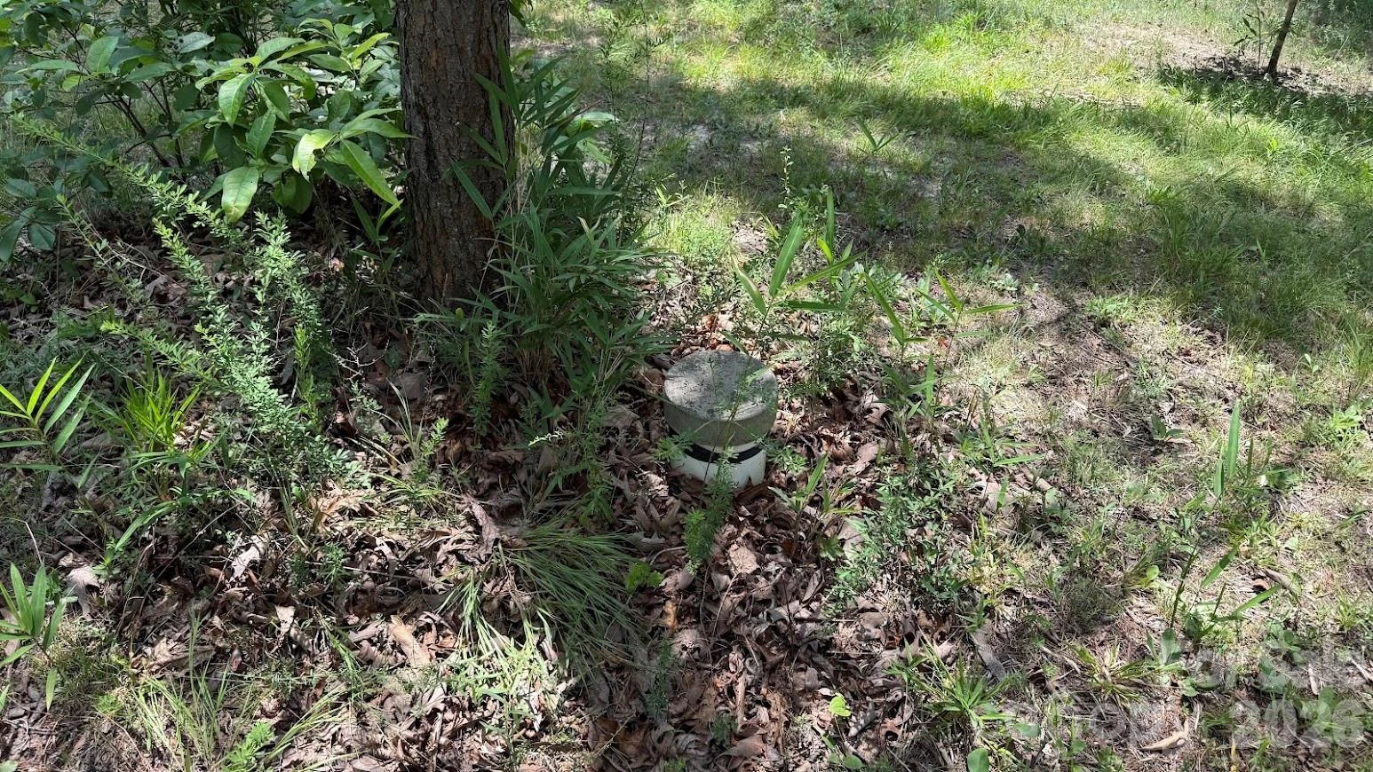 00 Fallen Tree Lane #19 - Photo 9