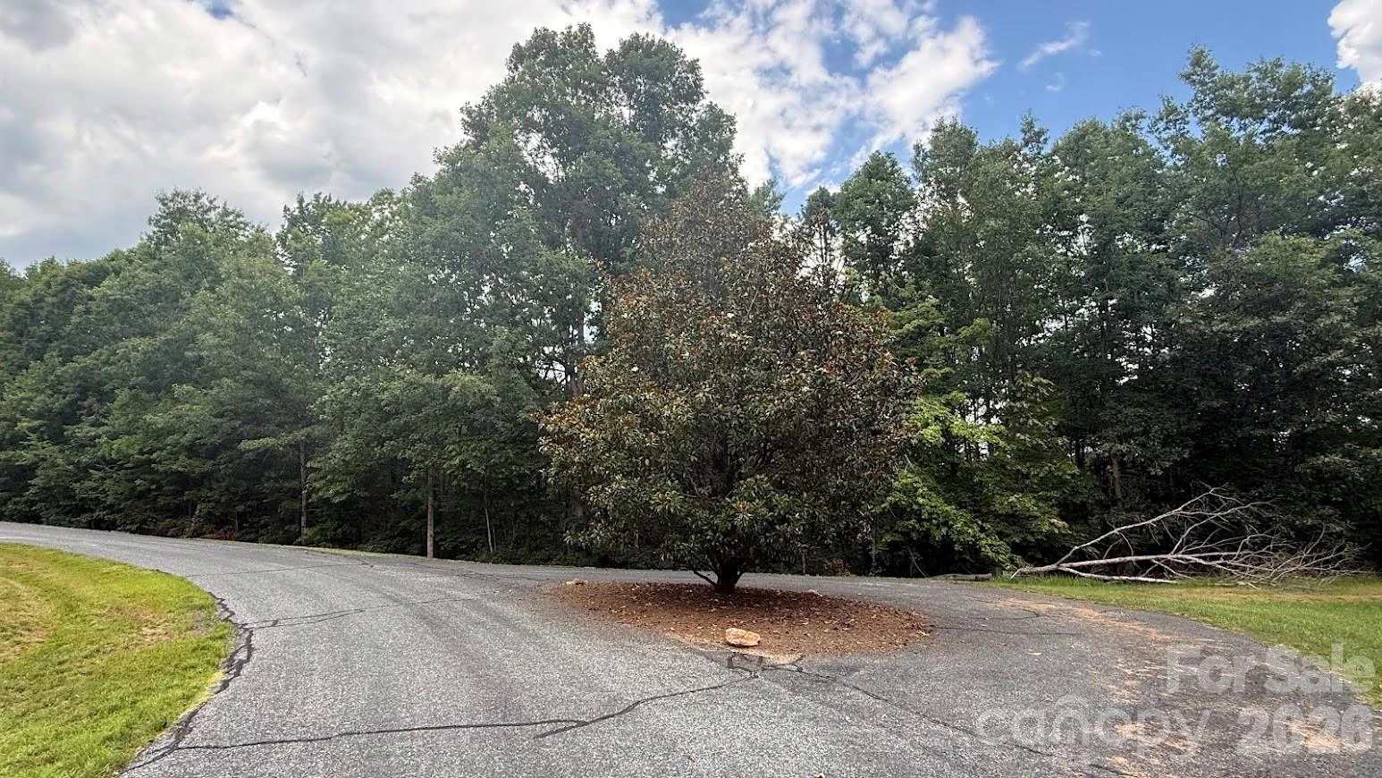 00 Fallen Tree Lane #19 - Photo 10