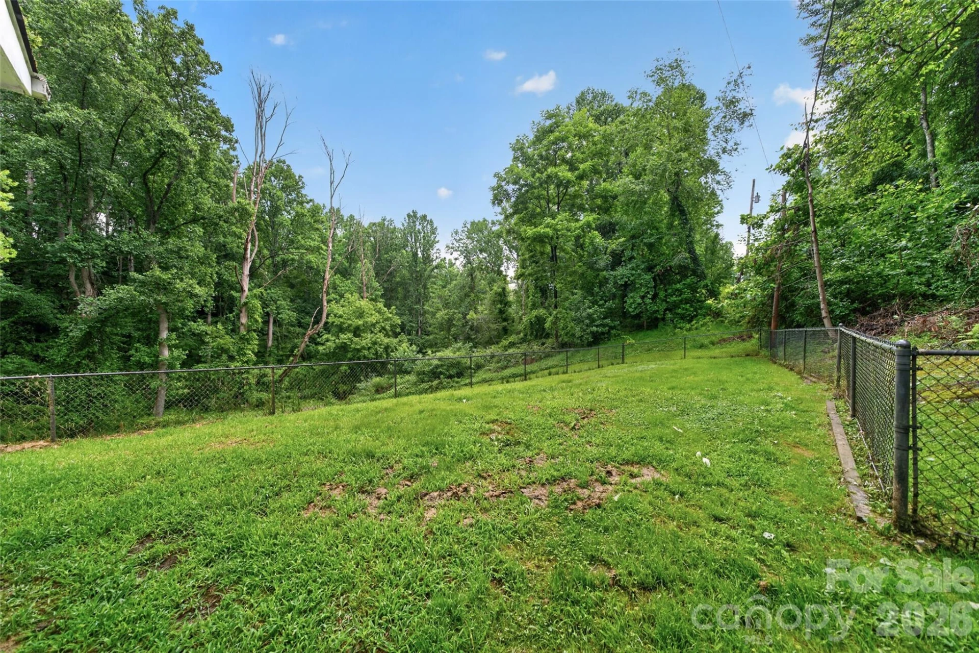 3882 New Leicester Highway - Photo 35