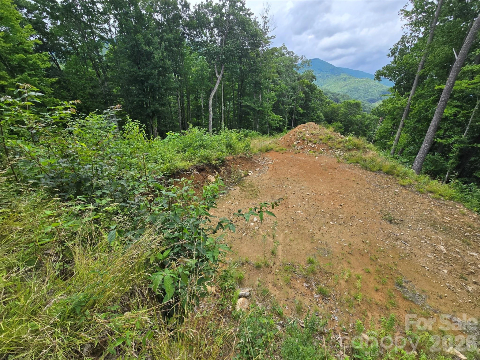 52 Lantern Ridge - Photo 4
