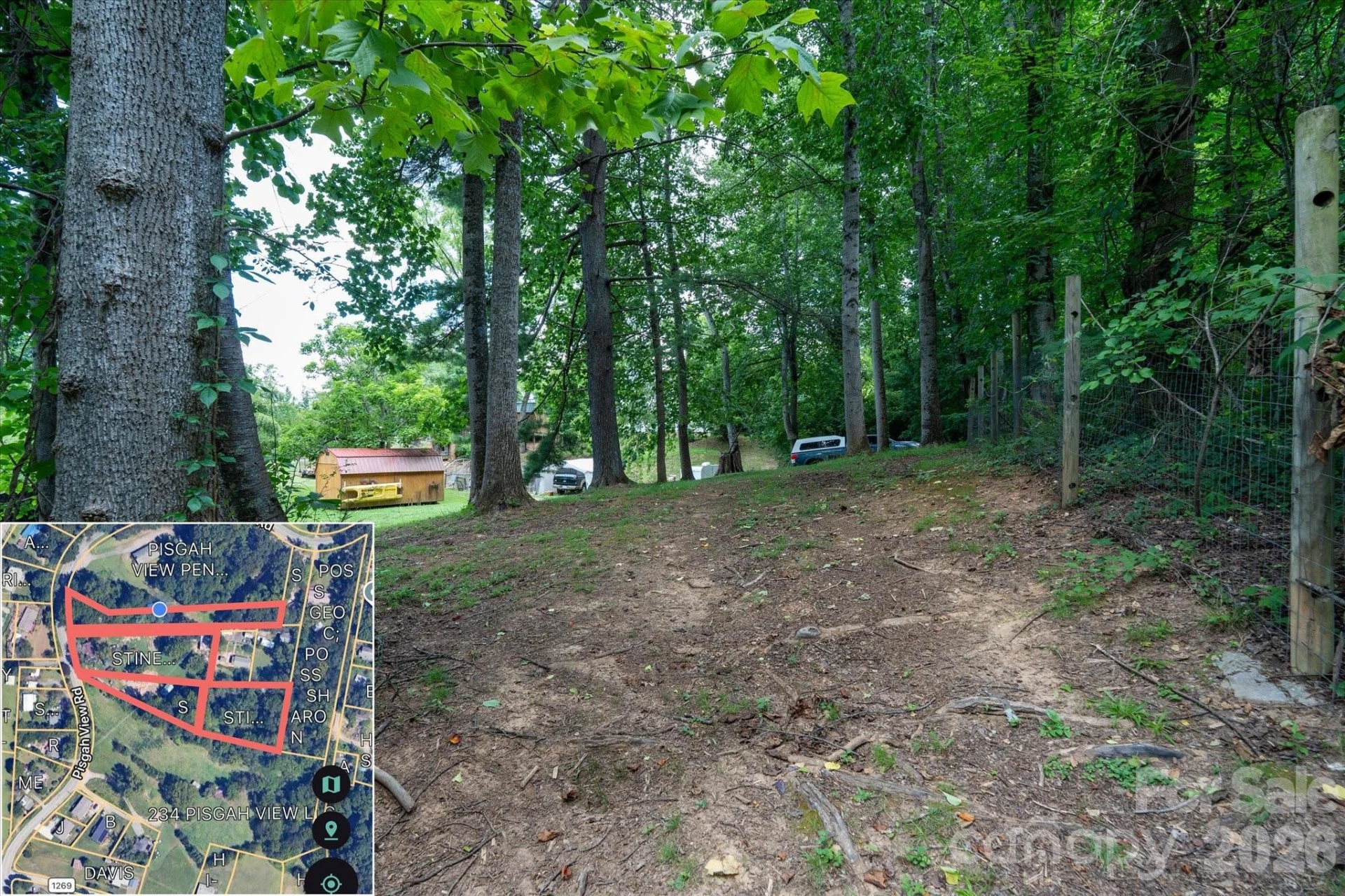 230 Pisgah View Road - Photo 11
