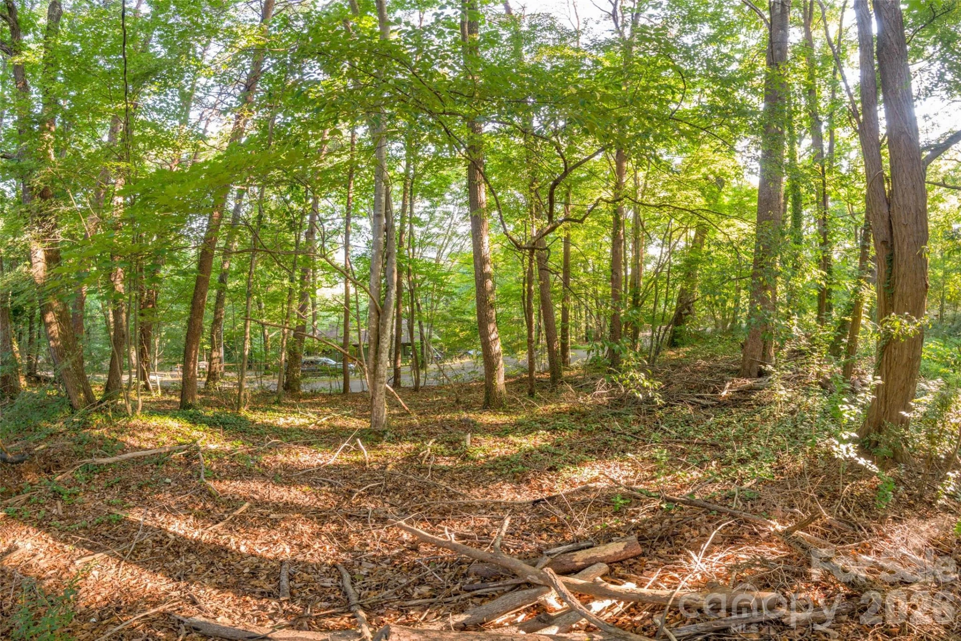 174 Laurel Lane - Photo 6