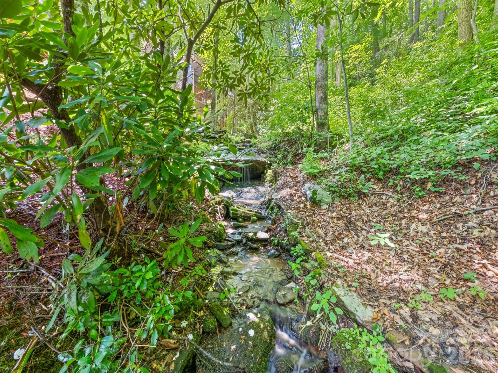 528 Brannon Forest Drive - Photo 13