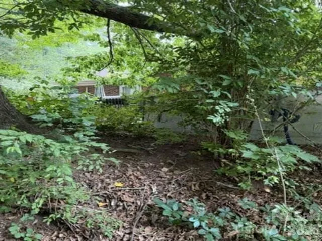 3 S and T Spirit Drive, Candler, NC, 28715
