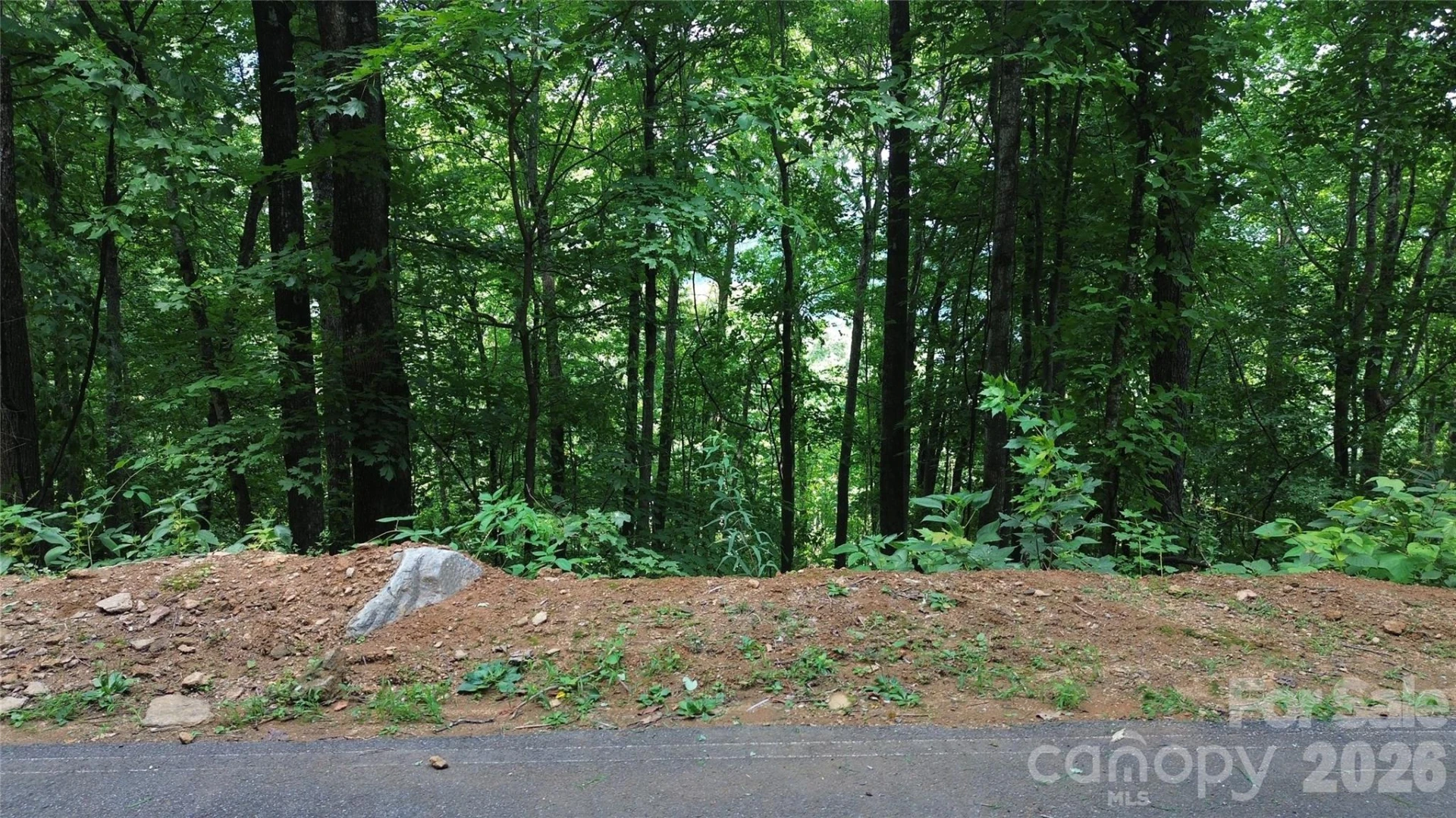 7 White Birch Court - Photo 3