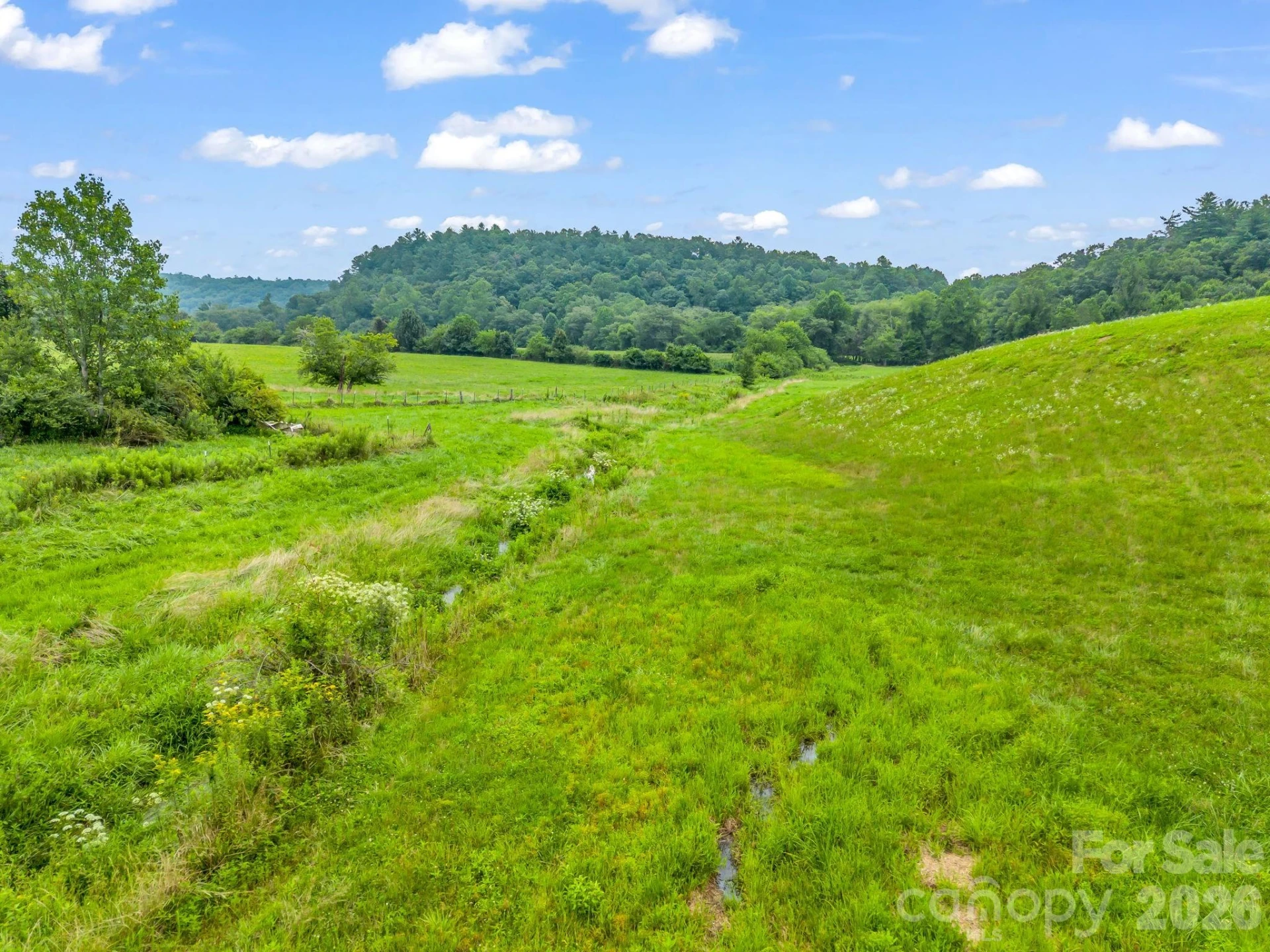 7513 Boylston Highway - Photo 16