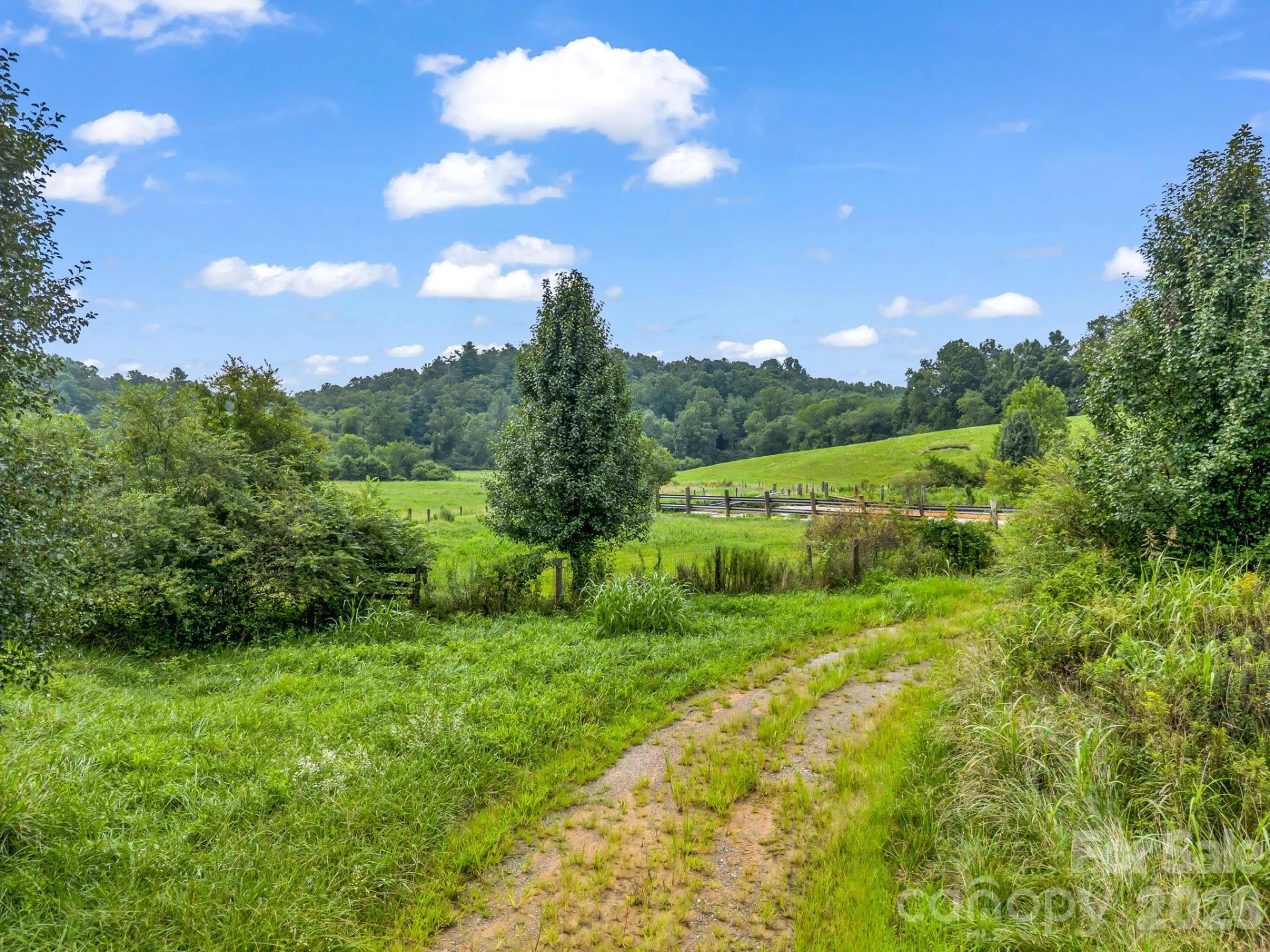 7513 Boylston Highway - Photo 25