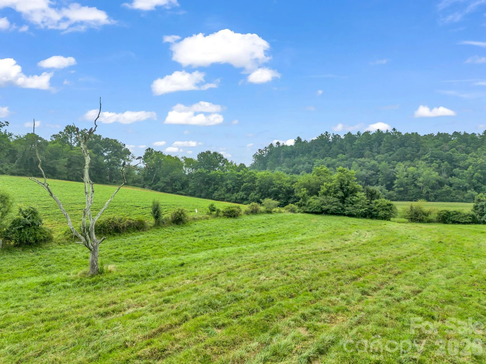 7513 Boylston Highway - Photo 33