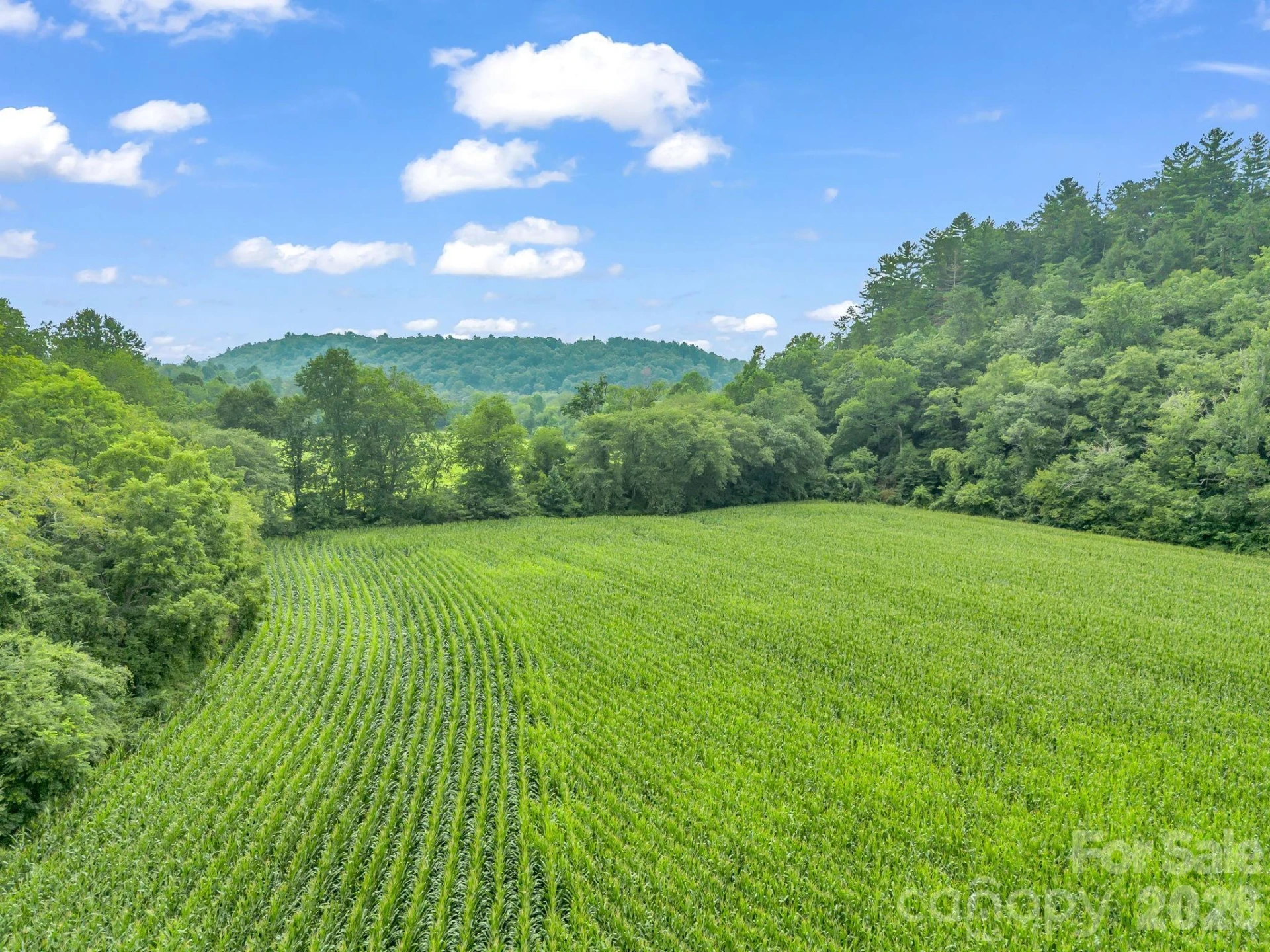 7513 Boylston Highway - Photo 35