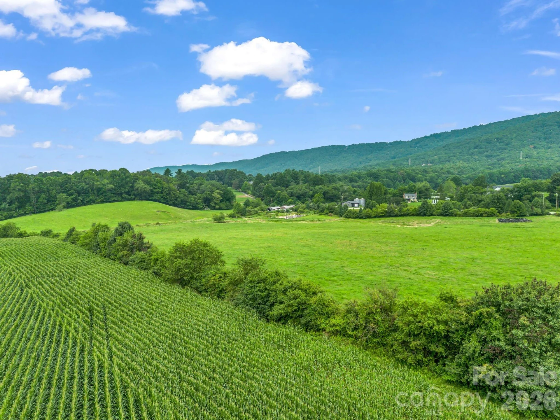 7513 Boylston Highway - Photo 38
