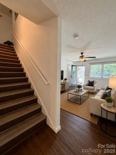31 English Ivy Road - Photo 30
