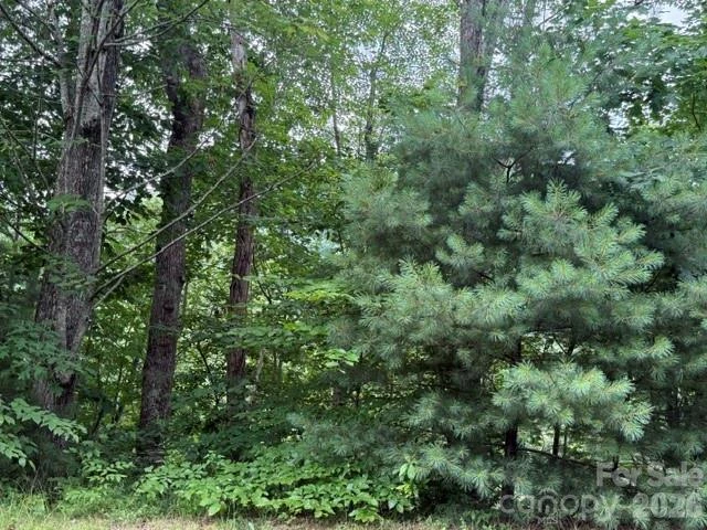 12 Silverstone Drive - Photo 3