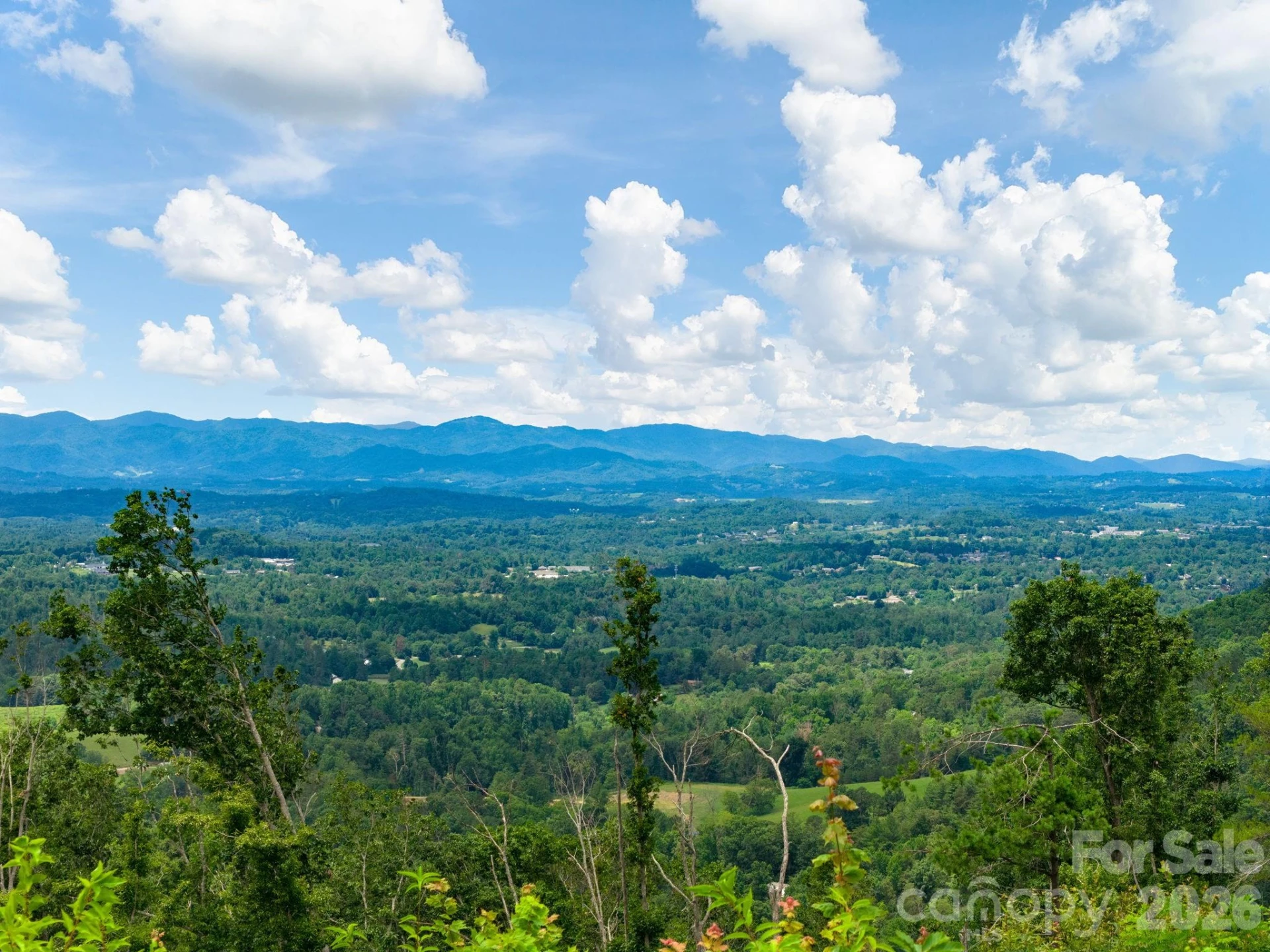 46 Perennial Ridge - Photo 42