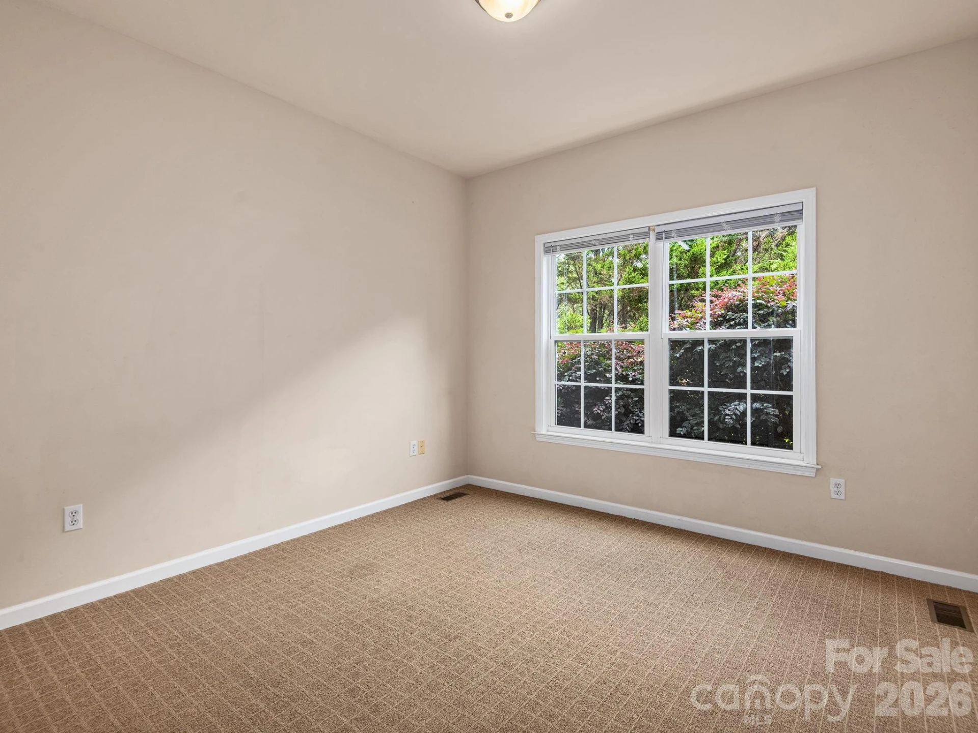 509 Shamrock Drive - Photo 15