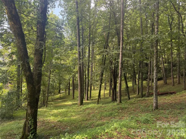 89 Split Rock Trail, Arden, NC, 28704