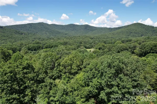 1545 Country View Way, Arden, NC, 28704