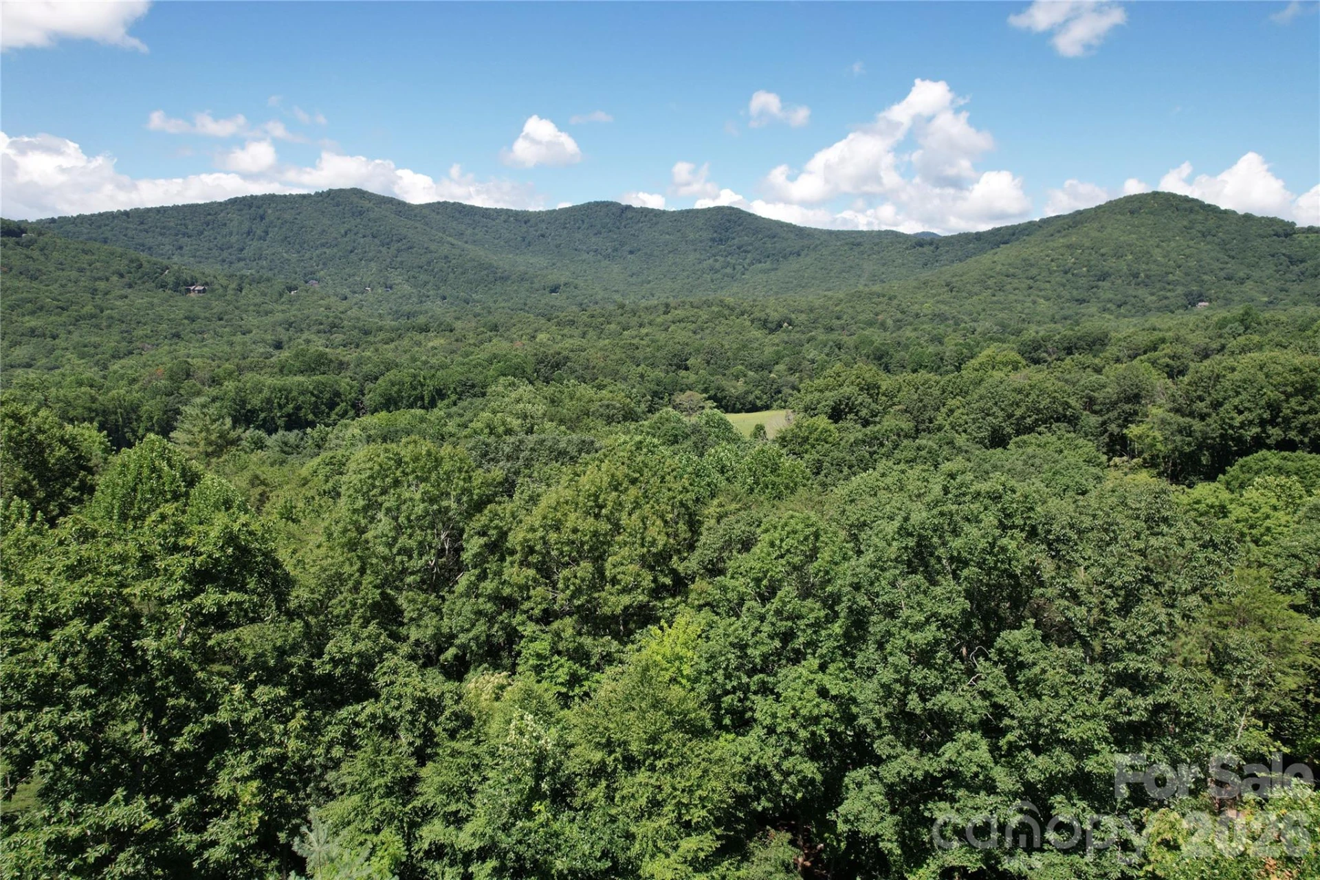 1545 Country View Way #302