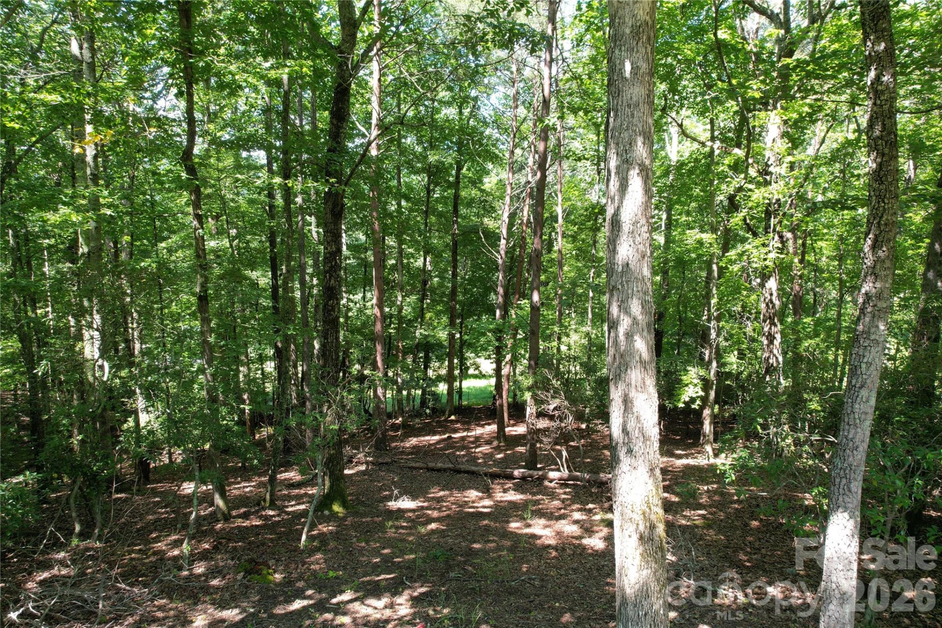 1545 Country View Way #302 - Photo 2