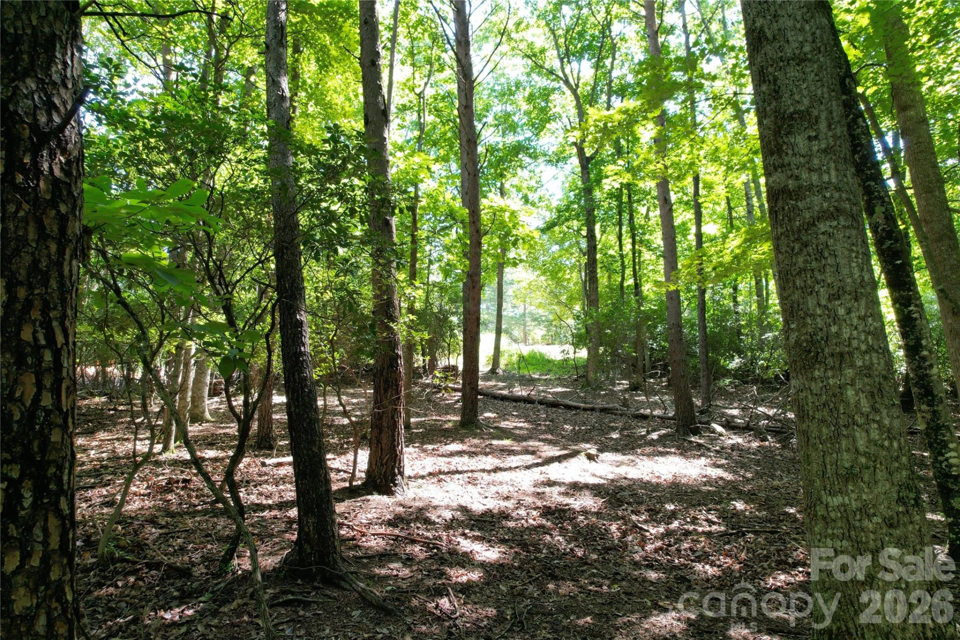 1545 Country View Way #302 - Photo 3