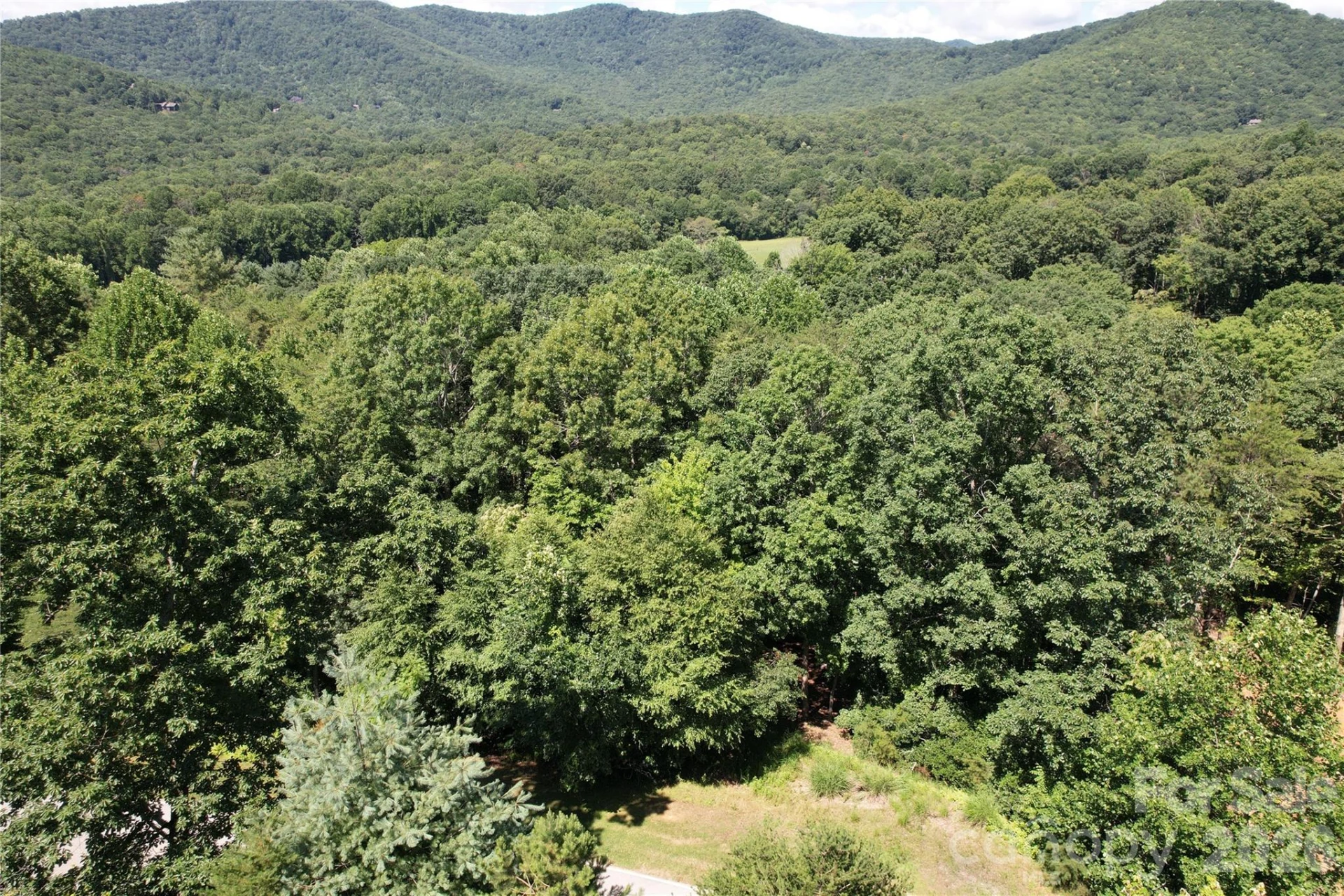 1545 Country View Way #302 - Photo 4
