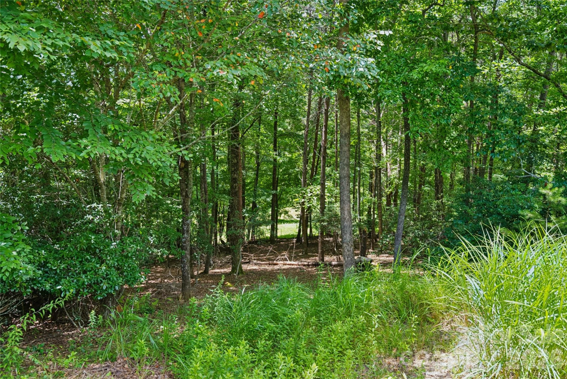1545 Country View Way #302 - Photo 8