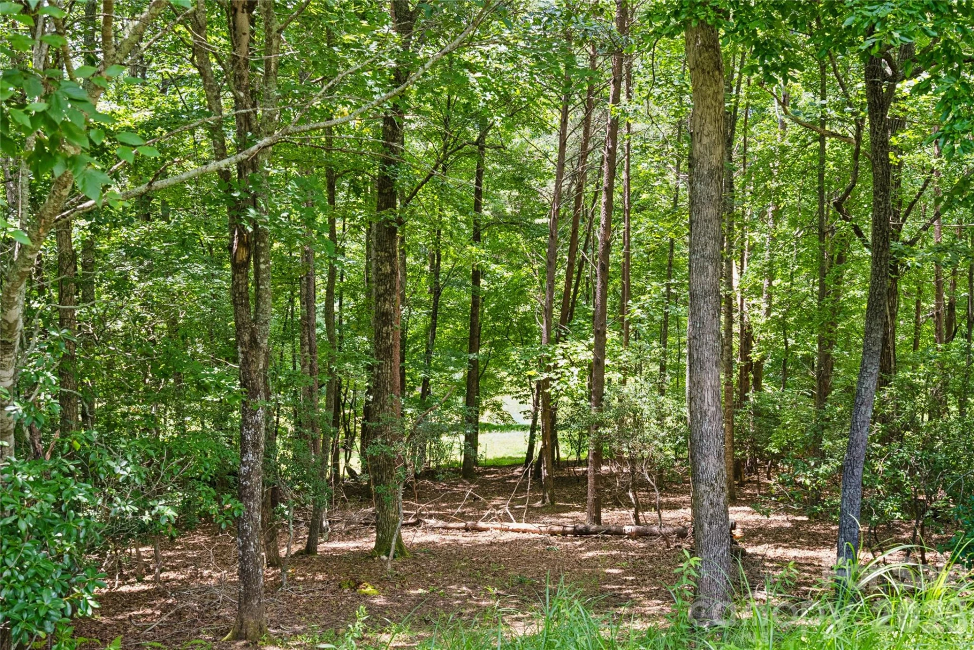 1545 Country View Way #302 - Photo 10